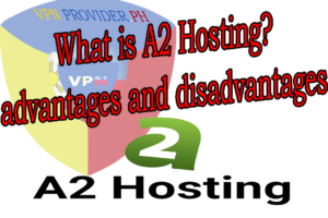 A2 Hosting advantage and disadvantage