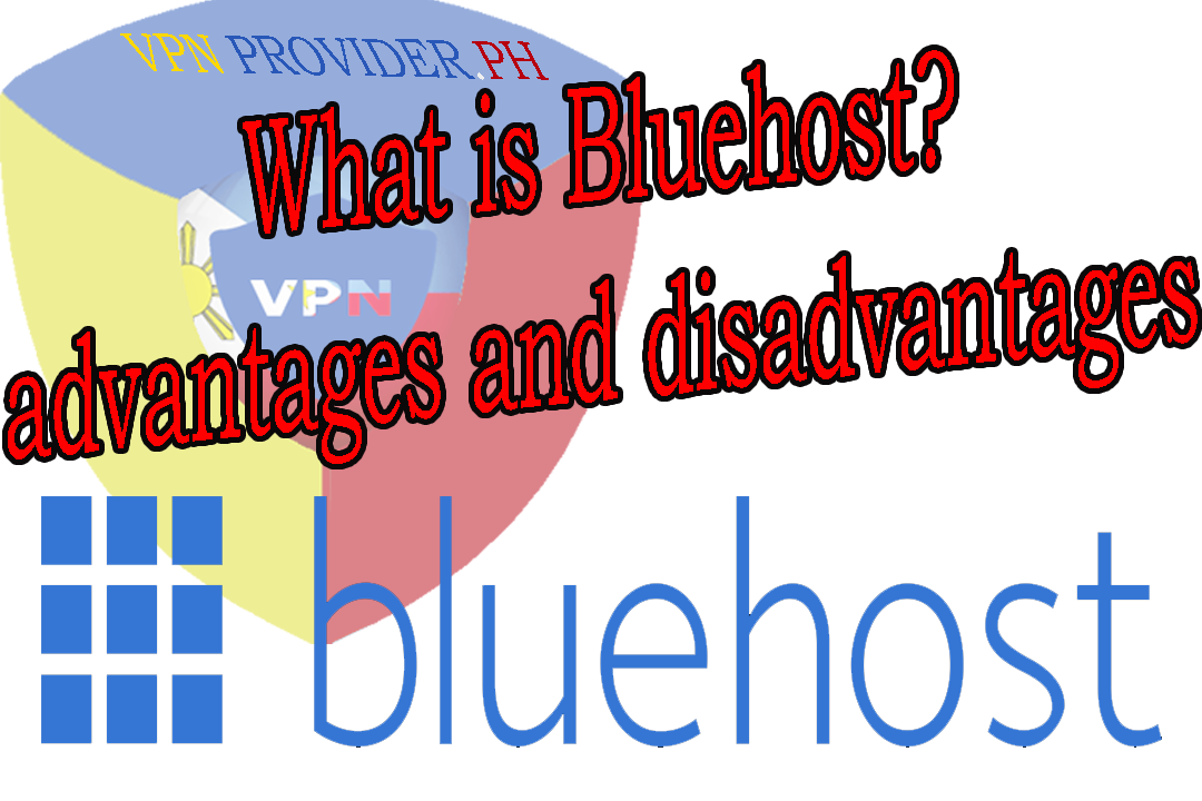Bluehost advantage and disadvantage
